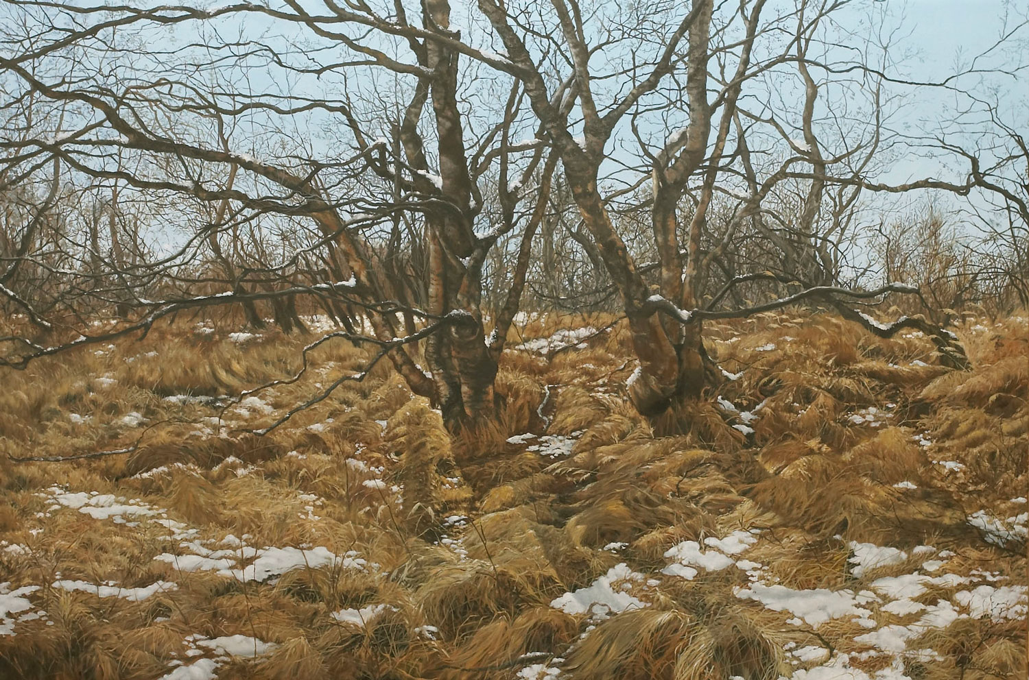 Beelden en landschappen in Waagexpositie