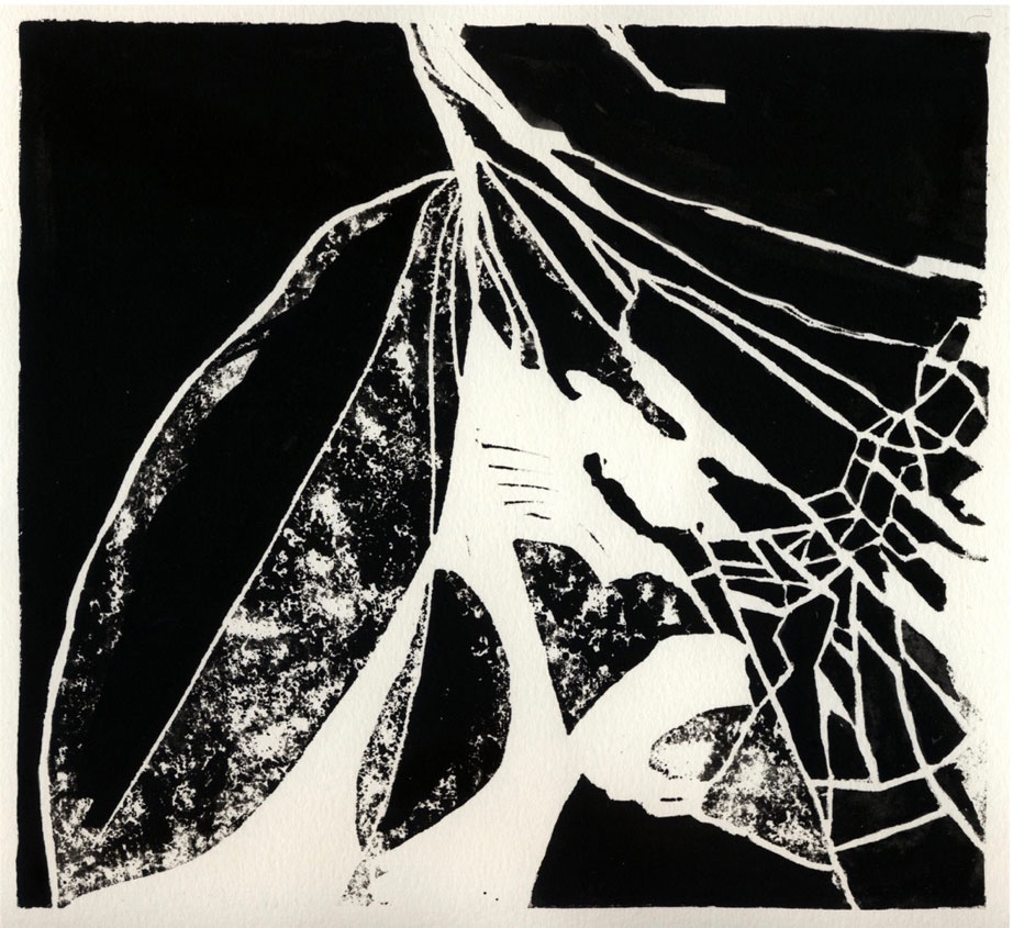 Kunst in Zwart, Wit en Grijs