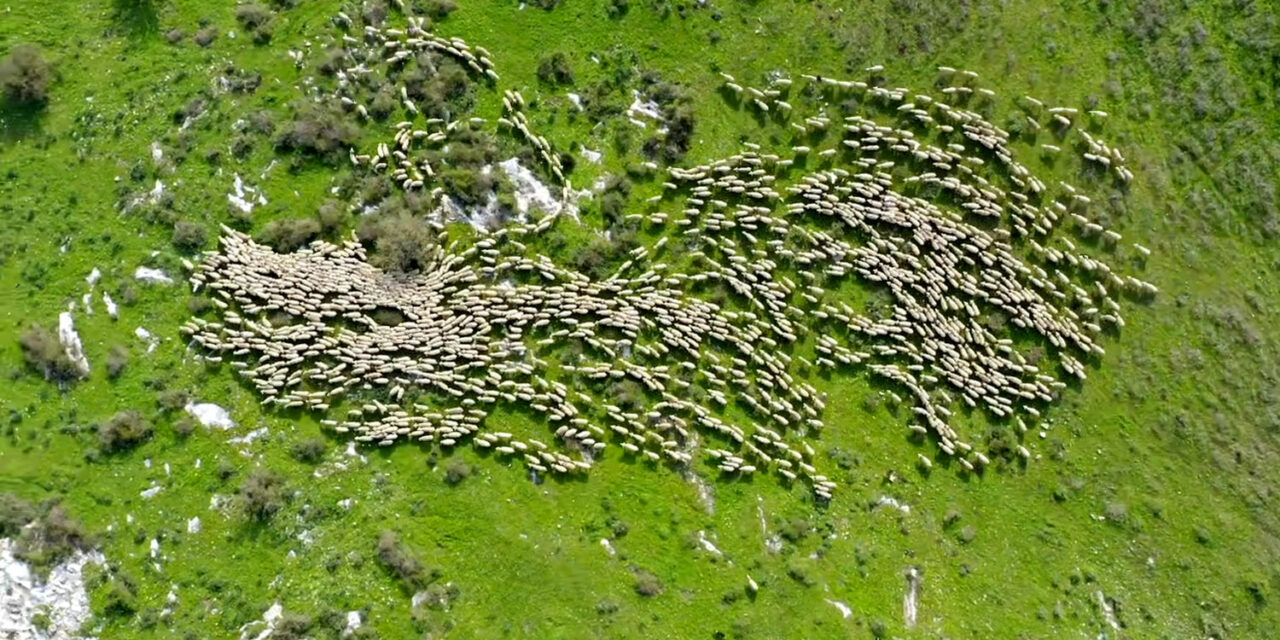 Een betoverende tijdopname