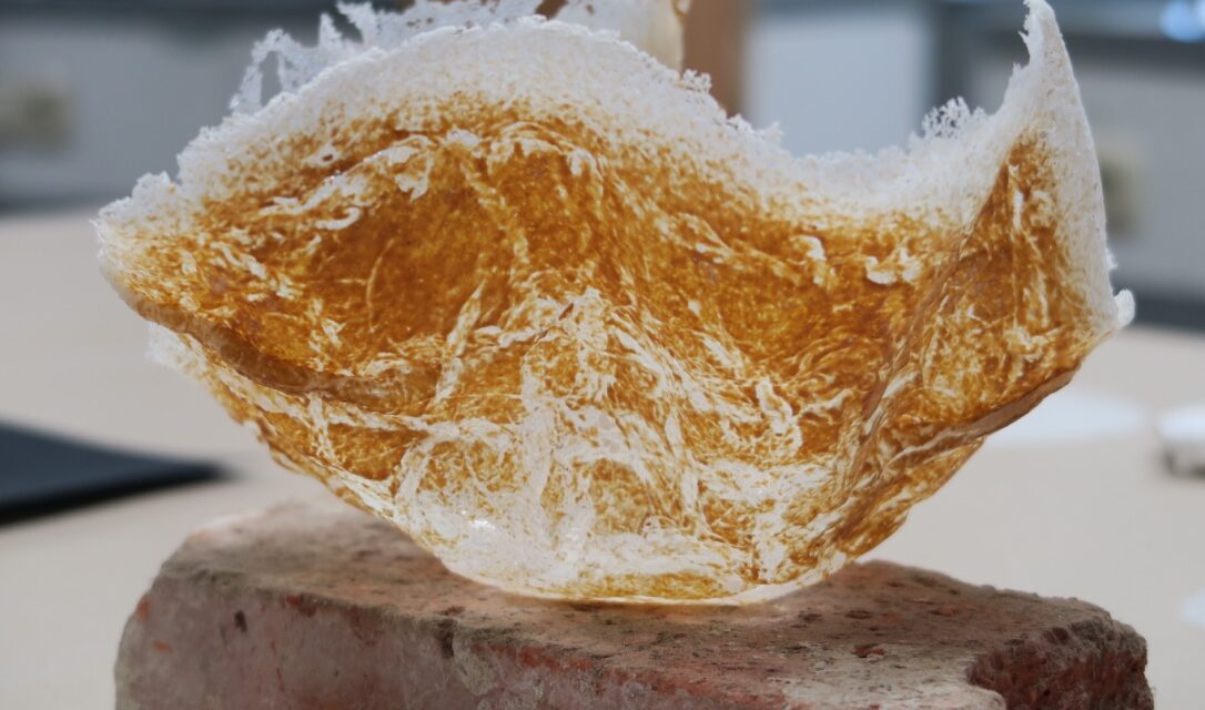 Oscar van der Linden