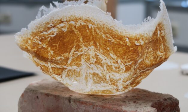 Oscar van der Linden