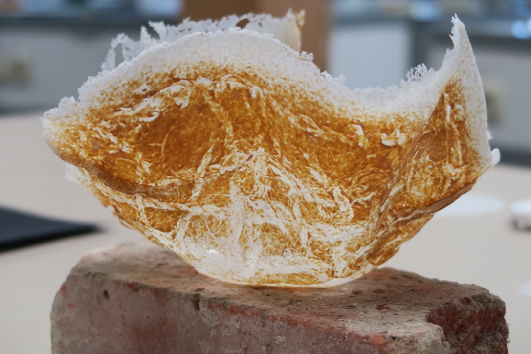 Oscar van der Linden Glas