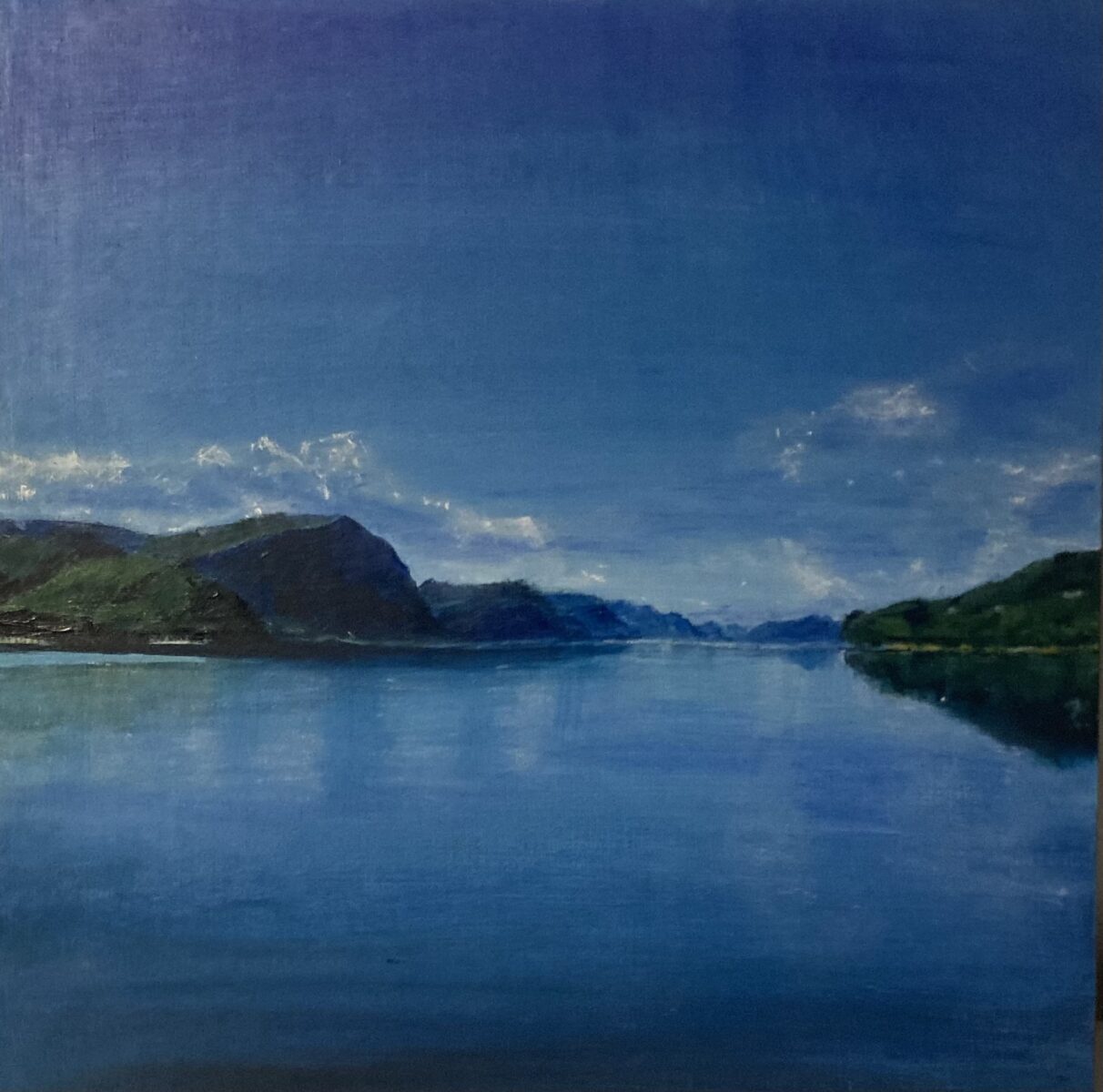 Emilie Jansen, Ålesund paneel