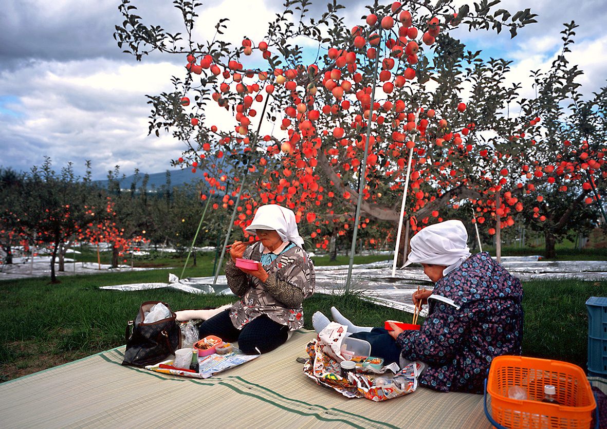 AOMORI 2 Lucienne van der Mijle KZOD