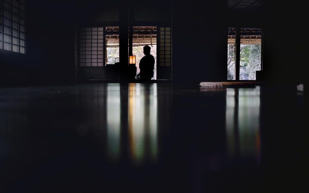 Lucienne van der Mijle