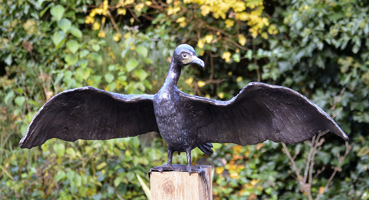 exposities Pieternel van Kempen