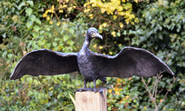 exposities Pieternel van Kempen