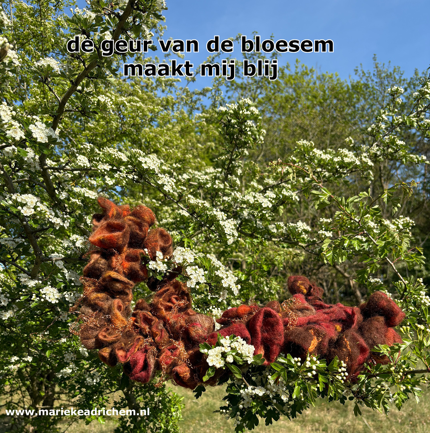 VILTGEVOELENS IN NATUUR 2 - vilt - Marieke Adrichem