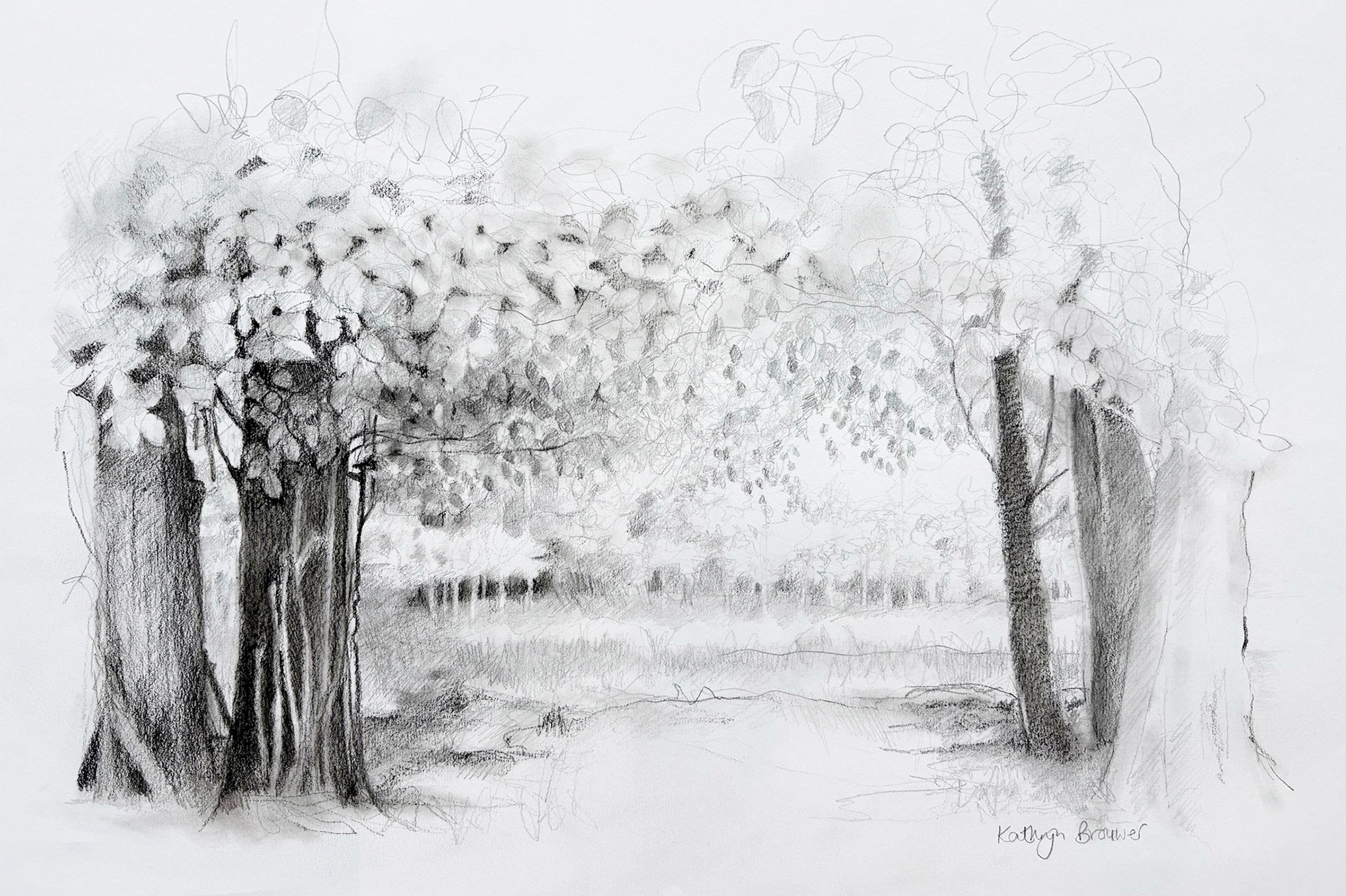Kathlyn Brouwer - bomen